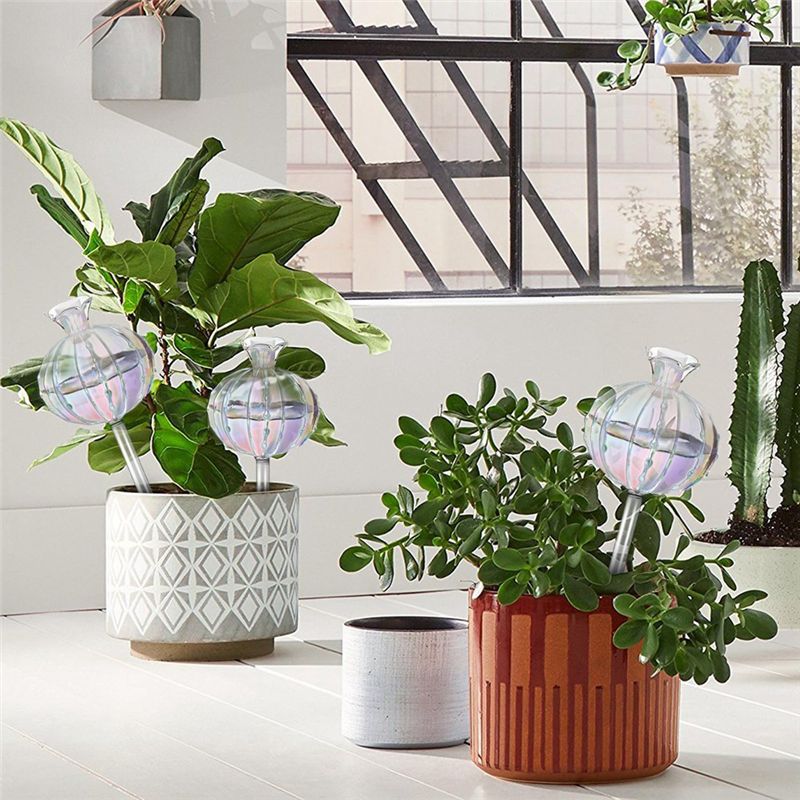 AA94-Plant Watering Bulbs Plan - đánh giá và giá Self-Watering Planter